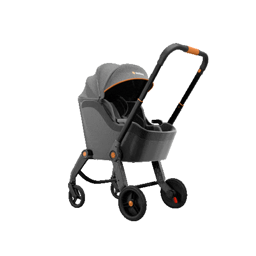 Zenibee Wagonized Car Seat™